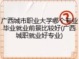 广西城市职业大学哪个专业毕业就业前景比较好(广西城职就业好专业)