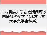 北方民族大学就读期间可以申请哪些奖学金(北方民族大学奖学金种类)