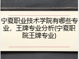 宁夏职业技术学院有哪些专业，王牌专业分析(宁夏职院王牌专业)