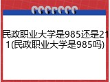 民政职业大学是985还是211(民政职业大学是985吗)