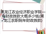 黑龙江农业经济职业学院一年财政拨款大概多少钱(黑龙江农职院年财政拨款)