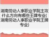 湖南劳动人事职业学院主攻什么方向有哪些王牌专业(湖南劳动人事职业学院王牌专业)