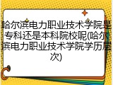 哈尔滨电力职业技术学院是专科还是本科院校呢(哈尔滨电力职业技术学院学历层次)