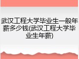 武汉工程大学毕业生一般年薪多少钱(武汉工程大学毕业生年薪)
