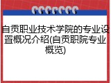 自贡职业技术学院的专业设置概况介绍(自贡职院专业概览)