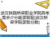 武汉铁路桥梁职业学院高考需多少分能录取呢(武汉桥梁学院录取分数)