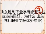 山东胜利职业学院哪些专业就业前景好，为什么(山东胜利职业学院优势专业)