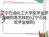 辽宁石油化工大学奖学金评定细则是怎样的(辽宁石化奖学金细则)