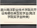 嘉兴南洋职业技术学院共开设有哪些类型奖学金(南洋学院奖学金种类)