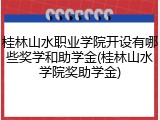 桂林山水职业学院开设有哪些奖学和助学金(桂林山水学院奖助学金)
