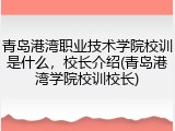 青岛港湾职业技术学院校训是什么，校长介绍(青岛港湾学院校训校长)