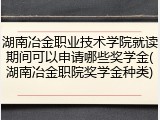 湖南冶金职业技术学院就读期间可以申请哪些奖学金(湖南冶金职院奖学金种类)