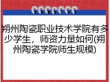 朔州陶瓷职业技术学院有多少学生，师资力量如何(朔州陶瓷学院师生规模)
