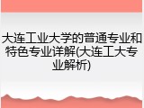 大连工业大学的普通专业和特色专业详解(大连工大专业解析)