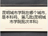 昆明城市学院在哪个城市，是本科吗，第几批(昆明城市学院批次本科)