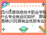 四川托普信息技术职业学院什么专业就业比较好，原因是啥(川托普就业优势专业)