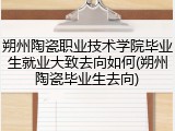 朔州陶瓷职业技术学院毕业生就业大致去向如何(朔州陶瓷毕业生去向)