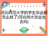 河北师范大学的学生毕业都怎么样了(河北师大毕业生去向)