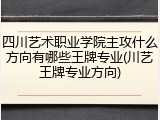 四川艺术职业学院主攻什么方向有哪些王牌专业(川艺王牌专业方向)