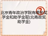 北京青年政治学院有哪些奖学金和助学金呢(北青政奖助学金)