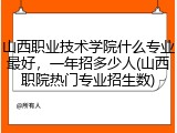 山西职业技术学院什么专业最好，一年招多少人(山西职院热门专业招生数)