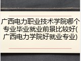 广西电力职业技术学院哪个专业毕业就业前景比较好(广西电力学院好就业专业)