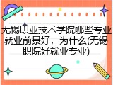 无锡职业技术学院哪些专业就业前景好，为什么(无锡职院好就业专业)