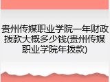贵州传媒职业学院一年财政拨款大概多少钱(贵州传媒职业学院年拨款)