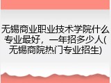 无锡商业职业技术学院什么专业最好，一年招多少人(无锡商院热门专业招生)