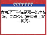 青海理工学院是双一流高校吗，简单介绍(青海理工双一流吗)