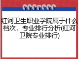 红河卫生职业学院属于什么档次，专业排行分析(红河卫院专业排行)