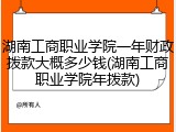 湖南工商职业学院一年财政拨款大概多少钱(湖南工商职业学院年拨款)