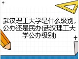 武汉理工大学是什么级别，公办还是民办(武汉理工大学公办级别)
