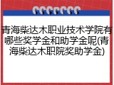 青海柴达木职业技术学院有哪些奖学金和助学金呢(青海柴达木职院奖助学金)