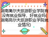 湖南高尔夫旅游职业学院有没有就业指导，好就业吗(湖南高尔夫旅游职业学院就业情况)