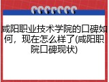 咸阳职业技术学院的口碑如何，现在怎么样了(咸阳职院口碑现状)