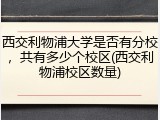 西交利物浦大学是否有分校，共有多少个校区(西交利物浦校区数量)