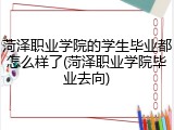 菏泽职业学院的学生毕业都怎么样了(菏泽职业学院毕业去向)