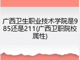 广西卫生职业技术学院是985还是211(广西卫职院校属性)