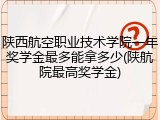 陕西航空职业技术学院一年奖学金最多能拿多少(陕航院最高奖学金)