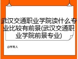 武汉交通职业学院读什么专业比较有前景(武汉交通职业学院前景专业)