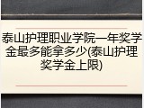 泰山护理职业学院一年奖学金最多能拿多少(泰山护理奖学金上限)