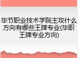 毕节职业技术学院主攻什么方向有哪些王牌专业(毕职王牌专业方向)