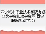 西宁城市职业技术学院有哪些奖学金和助学金呢(西宁职院奖助学金)