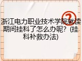 浙江电力职业技术学院就读期间挂科了怎么办呢？(挂科补救办法)