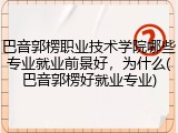 巴音郭楞职业技术学院哪些专业就业前景好，为什么(巴音郭楞好就业专业)