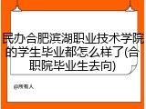 民办合肥滨湖职业技术学院的学生毕业都怎么样了(合职院毕业生去向)