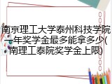 南京理工大学泰州科技学院一年奖学金最多能拿多少(南理工泰院奖学金上限)