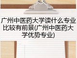 广州中医药大学读什么专业比较有前景(广州中医药大学优势专业)