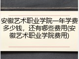 安徽艺术职业学院一年学费多少钱，还有哪些费用(安徽艺术职业学院费用)